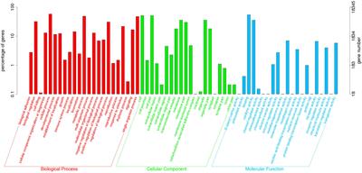 Comparative transcriptome analysis revealed genes involved in the sexual size dimorphisms and expressed sequence tag-Simple Sequence Repeat loci validation in Odorrana graminea